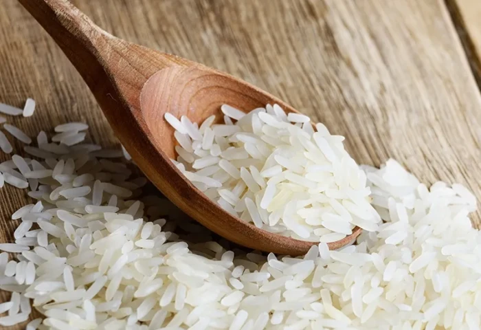 Arroz inteligente: variedade economiza até 50% de água no plantio